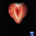 25 prints demasiado atrevidos que llamarán tu atención 15 15