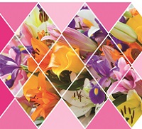 Invitacion_digital_IBULB_3_editable iBulb regala flores