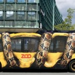 Creatividad pasada de "original" en rotulación de vehículos 11 211