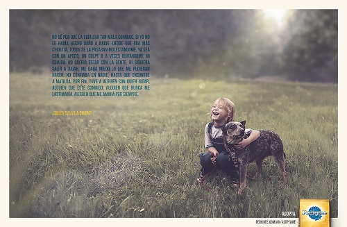 Cannes Lions 2014: México rompe récord con 20 Leones 3 adoption drive1