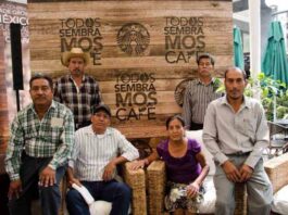 Starbucks apoya a comunidades cafetaleras de Chiapas con nuevo programa programa Todos sembramos café