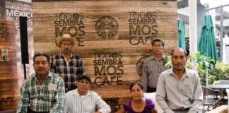 programa Todos sembramos café