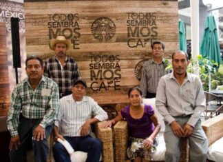 programa Todos sembramos café