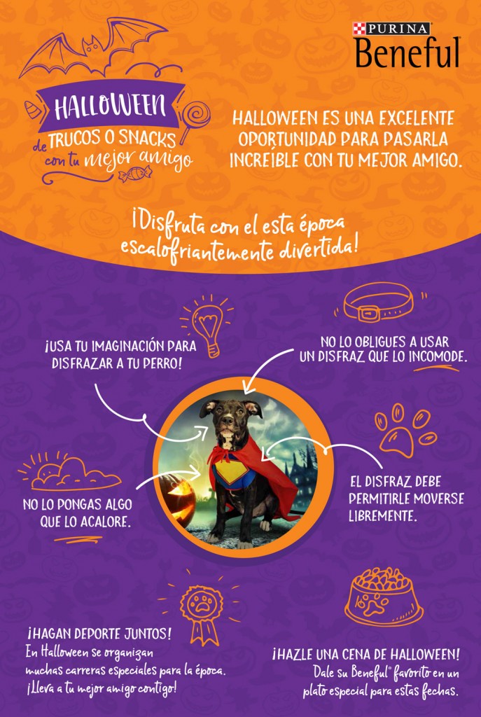 ¿Truco o snack? Tips para celebrar Halloween junto a tu perro 1 beneful-halloween