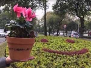 camellon-felicidad-2