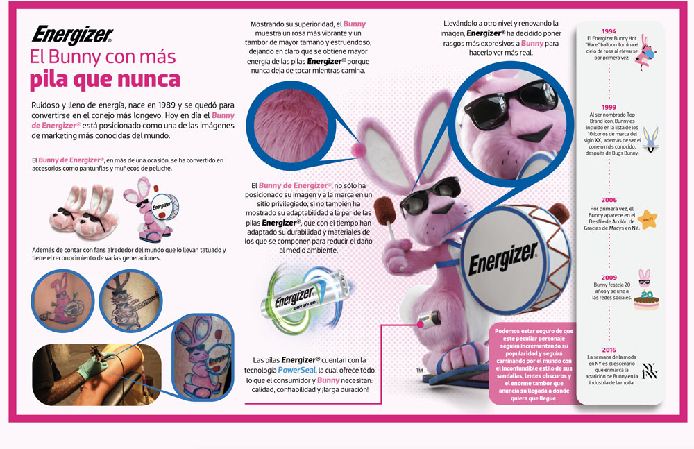 infografia-bunny