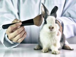 México rezagado en leyes contra pruebas en animales para uso cosmético pruebas en animales