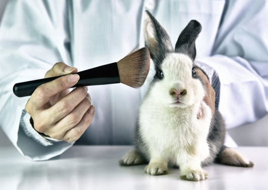 México rezagado en leyes contra pruebas en animales para uso cosmético pruebas en animales