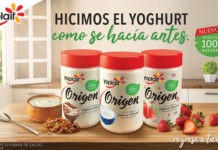 yogurts Yoplait Origen