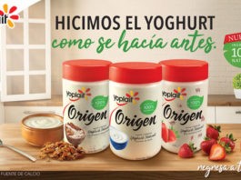 yogurts Yoplait Origen