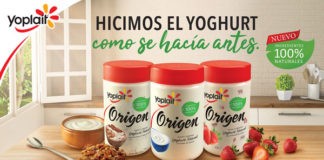 yogurts Yoplait Origen