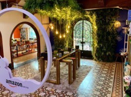 Amazon Holiday House