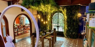 Amazon Holiday House