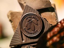 chocolate Cacaofruit Experience