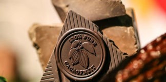 chocolate Cacaofruit Experience