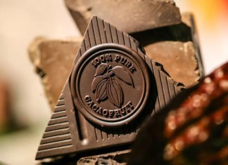 chocolate Cacaofruit Experience