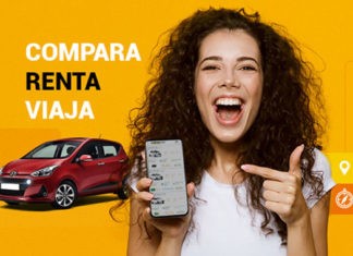 ¿Cuánto creció la renta de autos en 2019? crecimiento de renta de autos