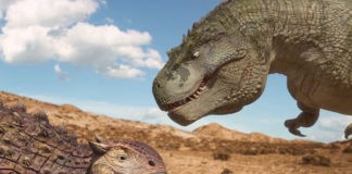 Dino king, vije a la montaña