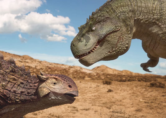 Dino king, vije a la montaña