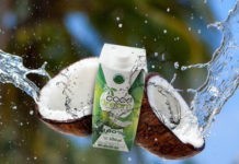 Agua de coco para uno de los años más calurosos de la historia Coco Dream
