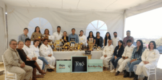 colmenas de abejas Toks