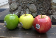 «La vida es más fácil con manzanas», la nueva campaña de Manzanas Washington campaña Manzanas Washington