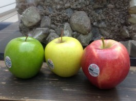 «La vida es más fácil con manzanas», la nueva campaña de Manzanas Washington campaña Manzanas Washington