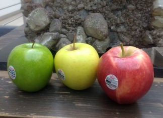 campaña Manzanas Washington