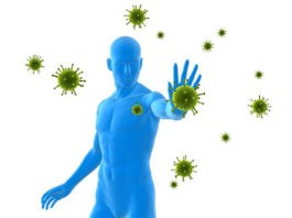 alimentos para reforzar sistema inmunológico