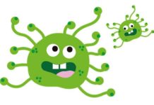 Coronavirus en la conversación de marcas y consumidores mexicanos conversación mexicanos coronavirus