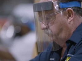 Ford escudos faciales