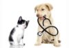 Purina presenta Médicos y mascotas en contingencia