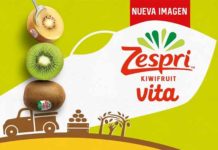 Kiwi Zespri Vita inicia temporada en México con nueva imagen beneficios kiwi