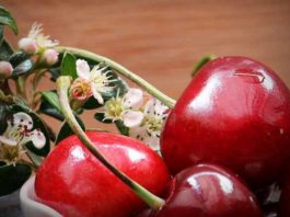 ¡Bienvenido verano rojo! Llegan las Cerezas de Verano a México llegada cerezas a México