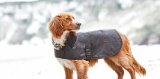 colección para perro Land Rover
