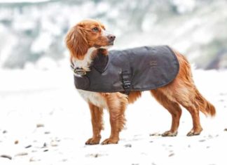 Land Rover lanza exclusiva colección de artículos para perro colección para perro Land Rover