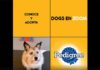 Pedigree realizará evento de adopción de perros por Zoom adopción de perros Pedigree