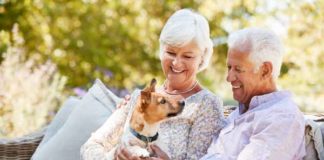 ventajas perro de raza pequeña