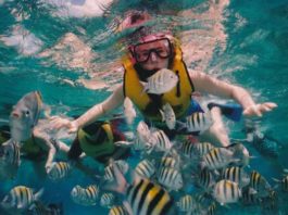 concurso Cozumel