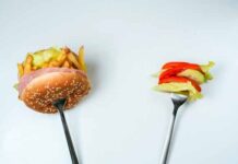 Comida saludable vs. Comida chatarra: ¿Qué prefieren los mexicanos? comida saludable o chatarra