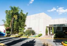 P&G planta productos de salud