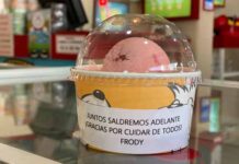 Frody helados personal médico