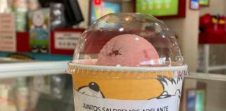 Frody helados personal médico