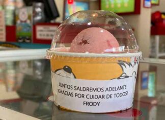 Frody regala helados a los nuevos héroes mexicanos Frody helados personal médico