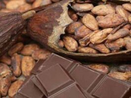 mitos y realidades del cacao y el chocolate