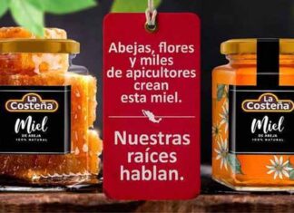 Nuestras raíces hablan La Costeña