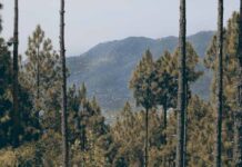 Mary Kay seguridad del agua Monterrey