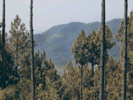 Mary Kay apoya proyecto para mejorar la seguridad del agua en Monterrey Mary Kay seguridad del agua Monterrey