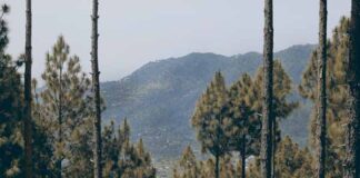 Mary Kay seguridad del agua Monterrey