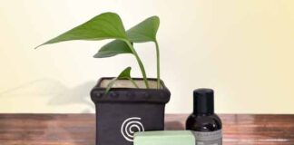 cosméticos Pilar del Ángel